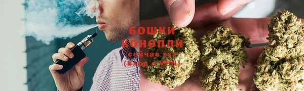 стаф Богданович